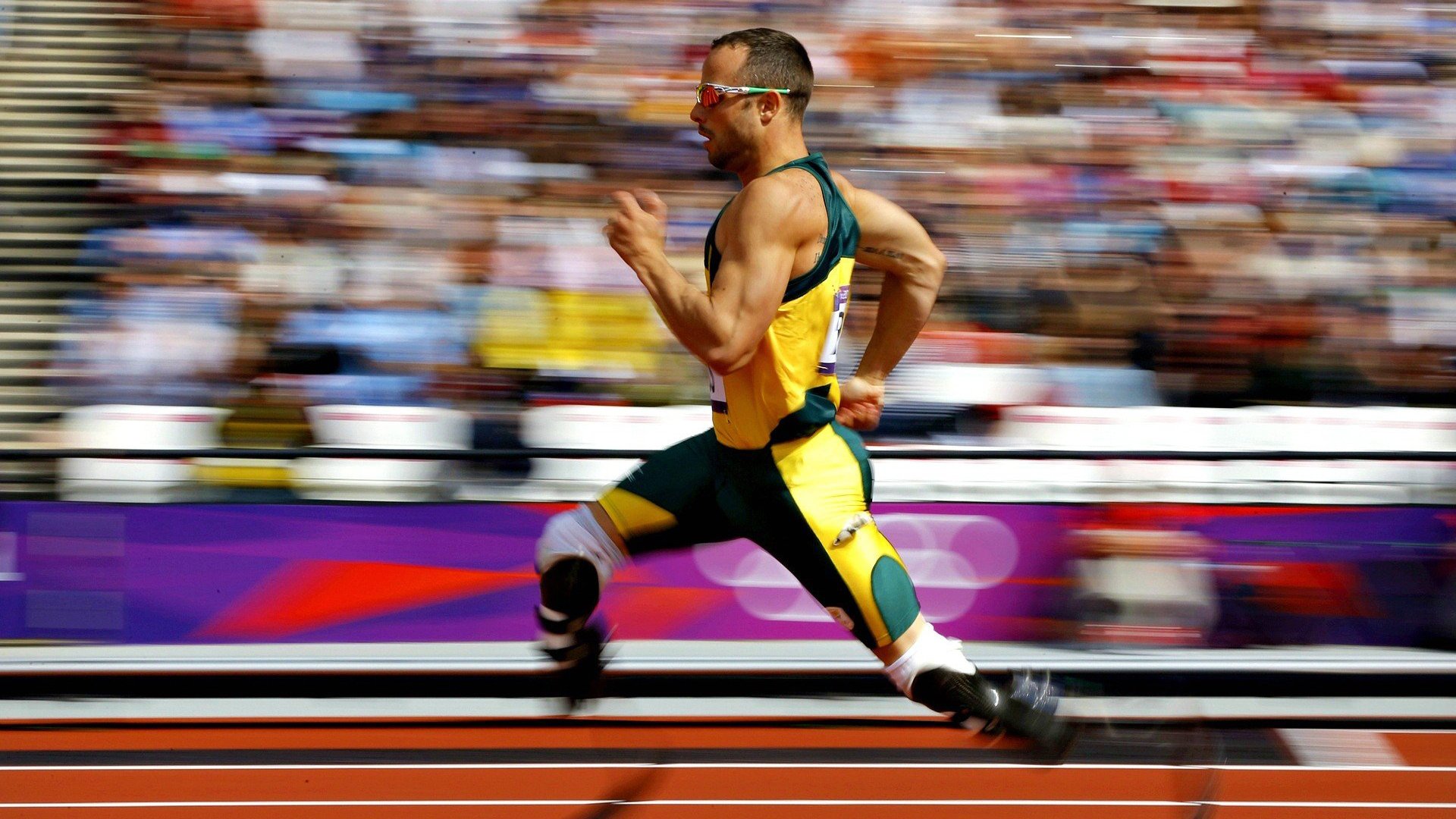 _雄鹿再创奇迹，字母哥三双制胜_，字母哥雄鹿报道视频